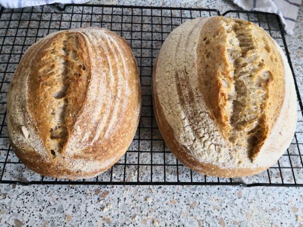 Sourdough bread. Homemade and just out of the oven.